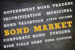 Ottawa considers issuing ultra-long bonds