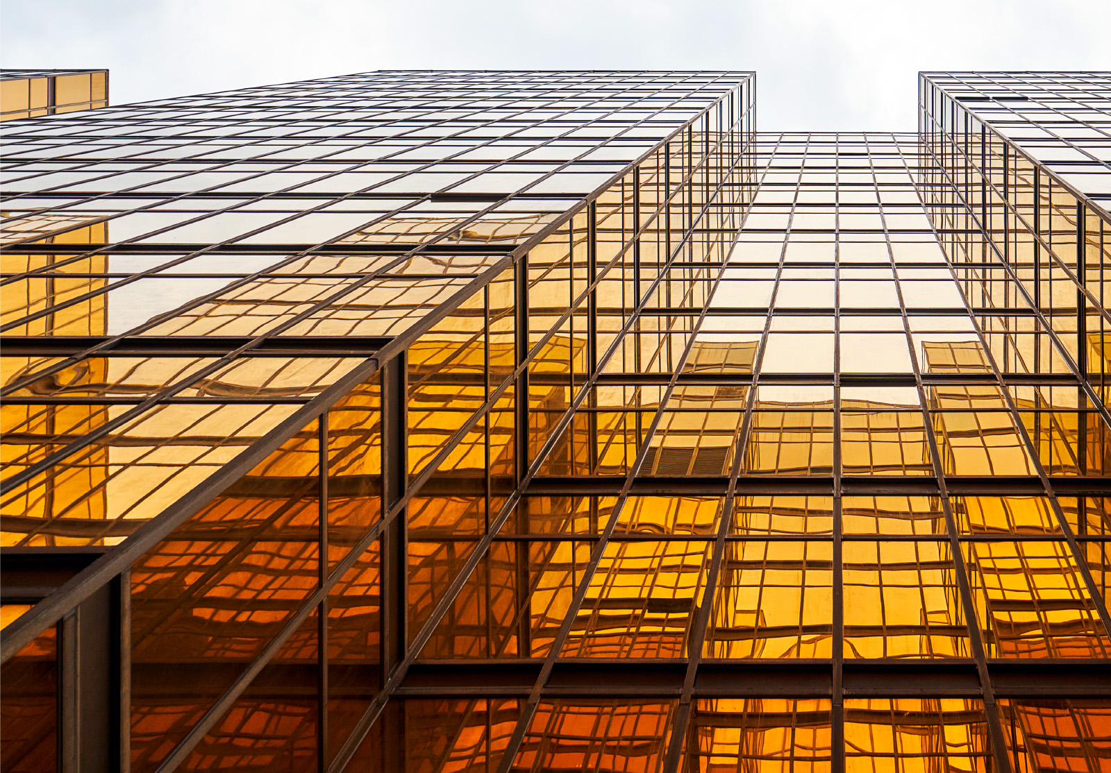 Tall modern golden buildings.