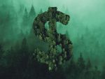 dollar sign in front of a green forest background